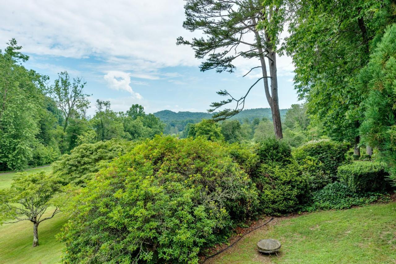 Glen Cannon Pisgah Forest 外观 照片